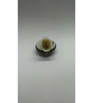 Vivaro 2004-2007 Tampon Sinyal Duyu -gm-