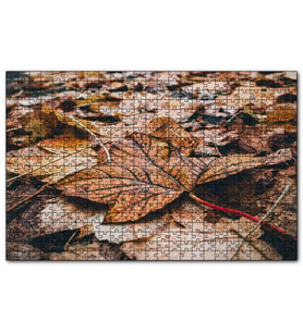 Cakapuzzle Yerde Sararmış Yapraklar Puzzle Yapboz MDF (Ahşap) (120 Parça)