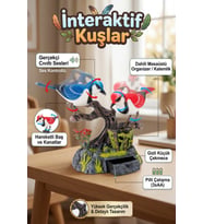 Sesli ve Hareketli İnteraktif Kuşlar Oyuncak - Kalemlikli Masaüstü Organizer ve Gizli Çekmeceli