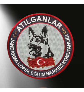 Jandarma Atılganlar 3D Arması, Yeni Model Tip Cırtlı, standart Ölçü (Çok Renkli)