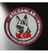 Jandarma Atılganlar 3D Arması, Yeni Model Tip Cırtlı, standart Ölçü (Çok Renkli)