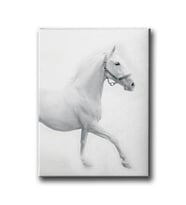 Beyaz At Canvas Tablo MİND724