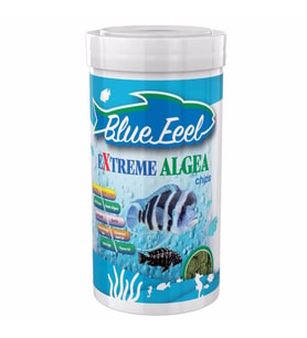 BLUE FEEL EXTREME ALGEA CHIPS 100ML 30GR 