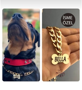 Isimli Köpek Tasması Köpek Isimlik Künye Zincir Paslanmaz