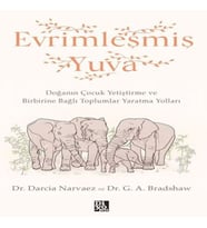 Evrimleşmiş Yuva
