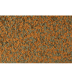 Tetra Wafermix Dip Balık ve Kabuklular için Yem - 100ML