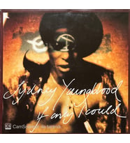 Sidney Youngblood If Only I Could LP Plak (Karışık)