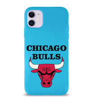 Apple iPhone 11 Uyumlu Lansman Kılıf Chicago Bulls Tasarımlı Altı Kapalı İçi Kadife Kaplı  Kapak (Şeffaf)