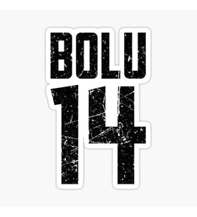 14 BOLU Sticker Yapıştırma Oto Etiket 17cm