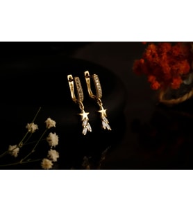 Yıldız Tozu Küpe (Rose - Gold)