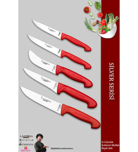 Lazbisa Silver Serisi Mutfak Bıçak Seti Et Ekmek Sebze Meyve Bıçağı 5 Li Set Günlük Kullanım ( Mtf-016)