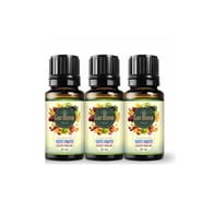 Tutti Frutti Uçucu Yağı Buhurdanlık, Ortam Kokusu 10 ml X 3 Adet