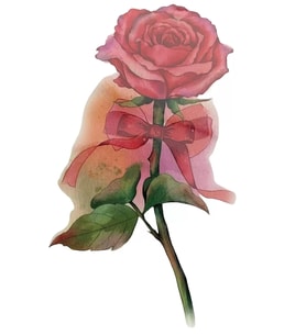 Caş Dekorasyon Gül Figürlü Geçici Dövme Tatto