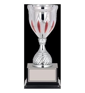 ODAK KUPA - Elit Kupalar - ELT-028 C - 33 cm