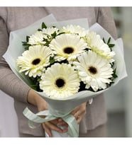 Beyaz Jelatinde Şık Beyaz Gerbera Buketi