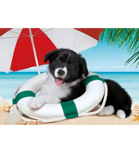 Clementoni Sunny Beach Puzzle 104 Parça 25741
