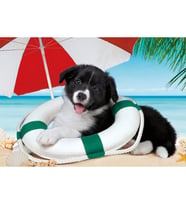 Clementoni Sunny Beach Puzzle 104 Parça 25741