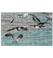 Cakapuzzle Martılar ve Dalgalı Deniz Arkaplan Puzzle Yapboz MDF (Ahşap) (120 Parça)