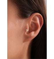 14 Ayar Altın Taşlı Papatya Tragus Küpe