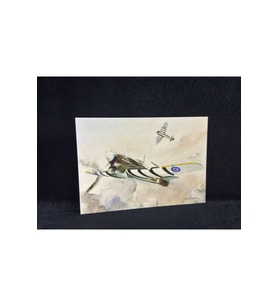 İngiltere WW2 Salmon Postcard Wings for Victory Royal Air Force 2. Dünya Savaşı Savaş Uçağı Temalı