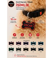 Evcil Hayvan İsimlik Köpek Künyesi Kemik Şeklinde Köpek İsimliği Dayanıklı ve Şık Evcil Hayvan İsimliği - 10 cm e kadar