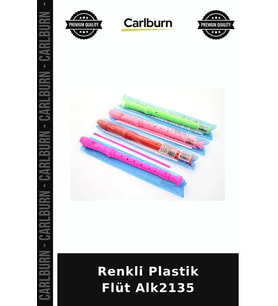 Özel Üretim Müzik Aleti Eğitici Hobi Çocuk Nefesli Okul Renkli Plastik Flüt Alk2135