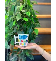 Balık Figürlü İsimli Fincan Kupa Mug (Karışık)