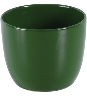 12 cm 3'lü Yeşil