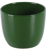 12 cm 3'lü Yeşil