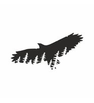 Kartal Silüet Duvar Sticker Siyah 20x11 cm