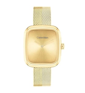 Calvin Klein CK25100099 Kadın Kol Saati