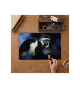 Siyah Ve Beyaz Kolobus Maymunu Tasarımı 240 parça Ahşap Puzzle Ahşap Kutuda MP05319