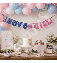 Girl Or Boy Eva Banner Pembe - Mavi