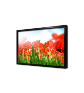 Kırmızı Çiçekler Çerçeveli Mdf Tablo