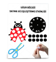 Uğur Böceği Sayma ve Eşleştirme Etkinliği (Cırt Cırtlı)