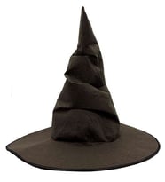 Harry Potter Seçmen Şapkası Yetişkin Boy