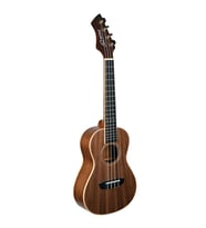 Ortega RUWN Horizon Series Concert Ukulele Walnut Mat Finish
