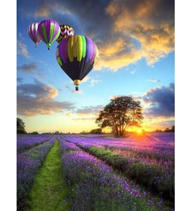 Lavantalar Ustundeki Balonlar Sayılarla Boyama Seti 40x50 cm (Tuvale Gerili)