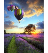 Lavantalar Ustundeki Balonlar Sayılarla Boyama Seti 40x50 cm (Tuvale Gerili)