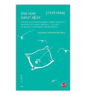 Kuş Uçar Kanat Ağlar