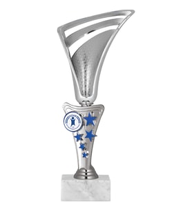 ODAK KUPA - Genel Kupalar - GN-030 C - 25 cm