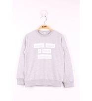 Toontoy Erkek Çocuk Baskılı Sweatshirt ( Gri-Melanj)