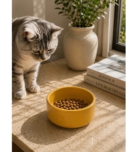 Kase Model Beton Kedi Köpek Mama ve Su Kabı (15cm çap × 5cm) - Bronz