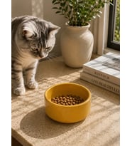 Kase Model Beton Kedi Köpek Mama ve Su Kabı (15cm çap × 5cm) - Bronz