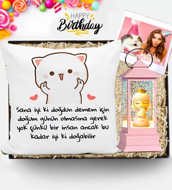 Kişiye Özel Doğum Günü Hediyesi Kedi Işıklı Kar Küresi & Kedi Yastık Hediye