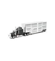1:43 Ölçekte Gerçekçi Taşıyıcı Tır: Long Haul Kenworth (Çok Renkli)