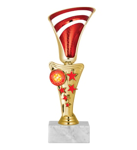 ODAK KUPA - Genel Kupalar - GN-039 C - 22 cm