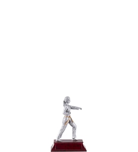 ODAK KUPA - Hediyelik Ürünler - HDY-006 A - 16 cm