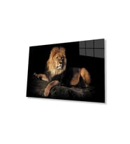 Aslan Cam Tablo 4mm Dayanıklı Temperli Cam (Çok Renkli)
