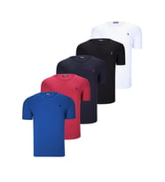 BEŞLİ SET T8568 DEWBERRY V YAKA ERKEK T-SHIRT-SİYAH-BEYAZ-LACİVERT-BORDO-SAKS